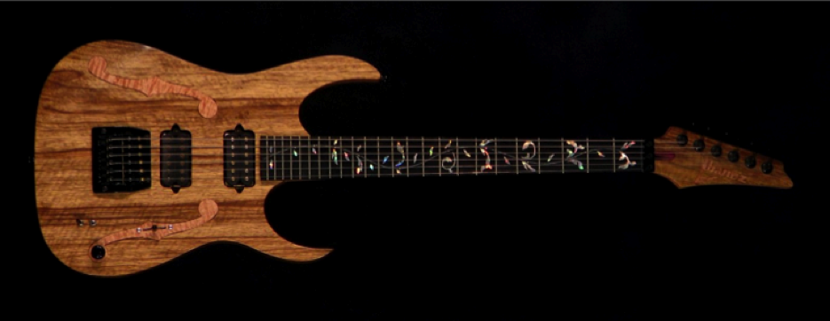 CWG christopher woods guitar pgm paul gilbert